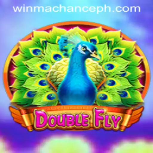 DoubleFly: A New Era of Interactive Gaming Featuring WinMaChance