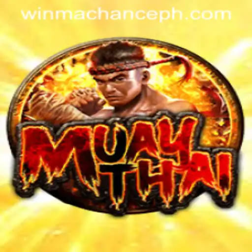 MuayThai: Exploring the Dynamic Game of WinMaChance
